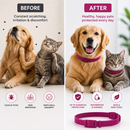 Virexsol™ 8 Month Flea & Tick Protection Collar